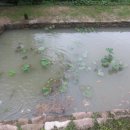 흰돌농장 이미지