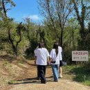 에덴동산 | 욕지도 관광코스 새에덴동산 방문후기