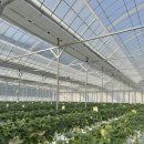 산남농장 이미지