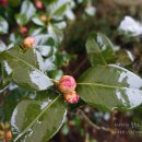 가산토방 호스텔 이미지