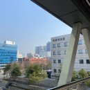 서초구청구내식당 | 대학생 외교연수과정 수강후기(1)