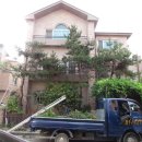 호수와 소나무 이미지