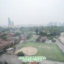 서덕종공인중개사사무소 이미지