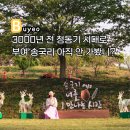 고추골솔바람마을 | 부여 아이와 가볼만한곳 제8회 송곡리 청동기축제 완전정복