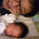 동안보건소 화장실 이미지