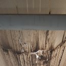 상봉2동 (3) 이미지