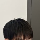 젤라헤어 이미지