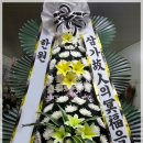 대성식물병원 이미지