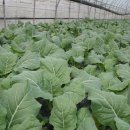 성하농장 이미지