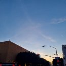 오토심슨 | [새해맞이 미국여행🇺🇸]7일차 로스앤젤레스 엘에이LA 유니버셜스튜디오동선꿀팁/인앤아웃