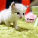리터바이 이미지