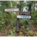 화봉산성 이미지