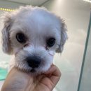 부천로66번길 이미지