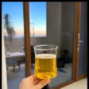 협재 바다의 선물 이미지