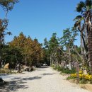 버드나무캠핑장 이미지