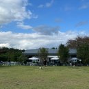 장안37 | 부산 애견카페｜둘레길이 있는 기장 애견운동장 &#34;장안숲 므로&#34; N번째 방문 후기