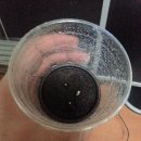 이비농장 이미지