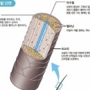 영헤어아트
