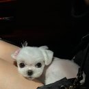 윤스피부미용