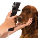 교대동물병원 이미지