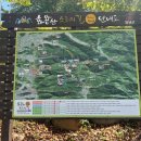(일요테마트레킹) 10월 18일 가을이면 억새가 만개하여 은빛장관을 선물하는 산림청/BAC100대명산 창녕 화왕산 이미지
