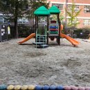 개림초 병설유치원 | ::모래소독::키제코::/ 부산 개림초 병설유치원 : 3584번째 후기