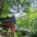 미계 신의련 유적비 이미지