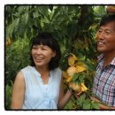 봉비농장 이미지