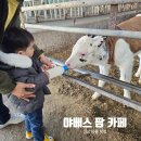 행복만들기목장 | 경남 의령 야베스팜 카페 목장 동물 먹이주기 진주 가족 체험