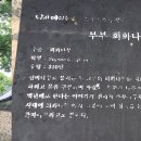 예담원 - 강진군 보은로안길 20 | 예담원
