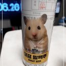 디자인마니아 | <대표 밀맥주> 맥주마니아의 내돈내산 후기