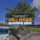 전주이씨 삼효 정려 이미지