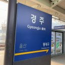 윤여진화장품 | 💨 (라식 전 일탈)