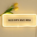 선한 인셀덤 이미지