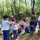 청학초등학교 이미지