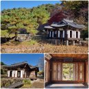 푸른마을 백호 태권도장 | 강릉의 멋진 기억 (1/4) : 오죽헌, 선교장, 그리고 추천 맛집