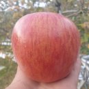 기주농장 이미지