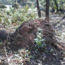 병호농장 이미지