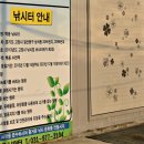 백용낚시터 이미지