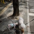 한성세탁소 이미지