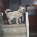 남매농장 이미지