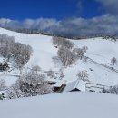 한들목장 이미지