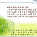 일일예화말씀묵상 2025년 11월 13일 (목) - 깨트려 버릴 사고 이미지