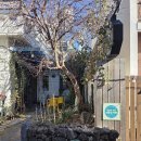 망미1-210 | 부산 수영구 북카페 바사크라, 망미단길에서 책읽기 좋은 공간