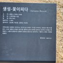 생성-꽃이피다 이미지