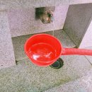 달마약수터 이미지