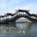 물위의 도시 이미지