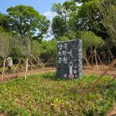 동산 세계로컬신문