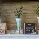 녹수한의원 이미지