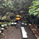 금능서시 이미지